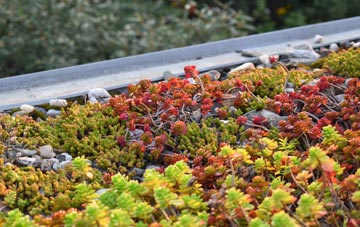 the cost of Maitland Park green roof installation