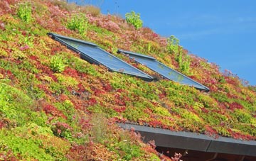 Maitland Park living roof systems