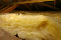 Maitland Park pitch roof insulation